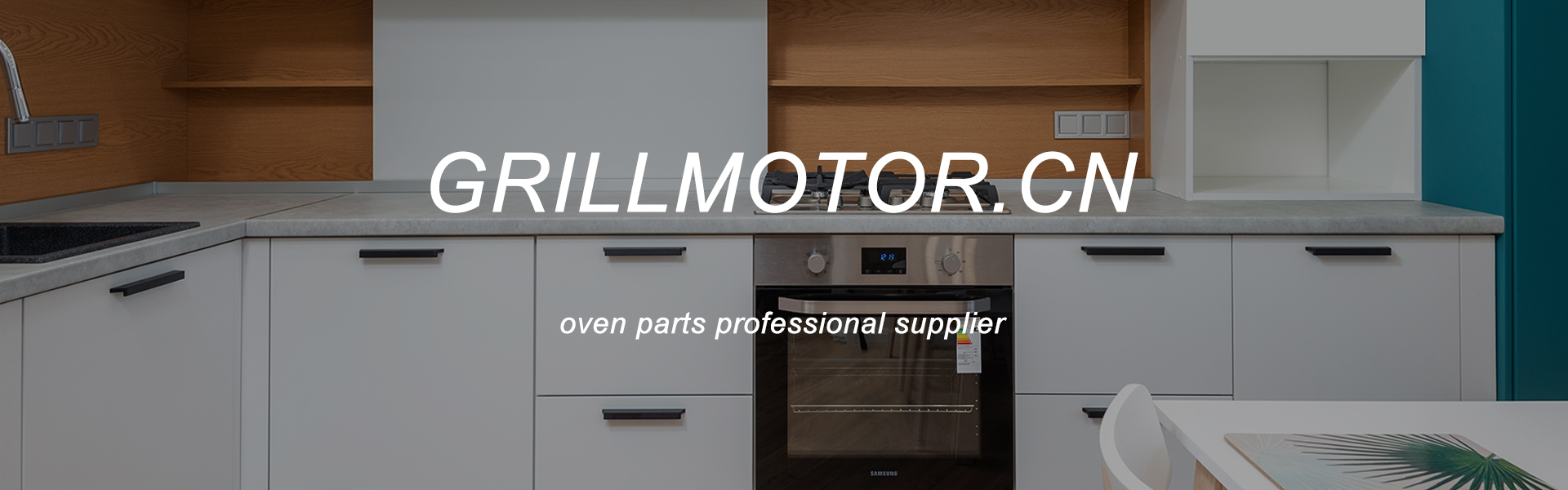 grill motor